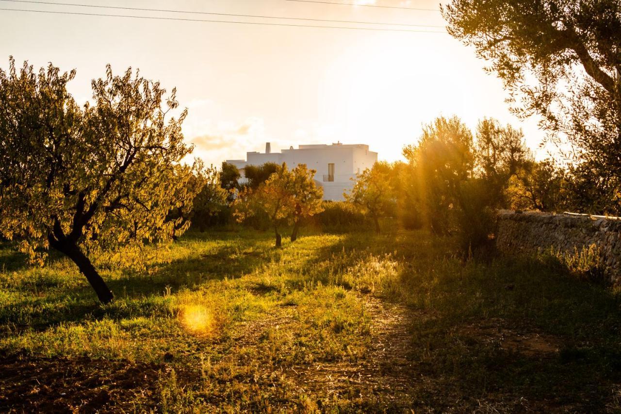 Masseria D'Erchia Monopoli Dış mekan fotoğraf