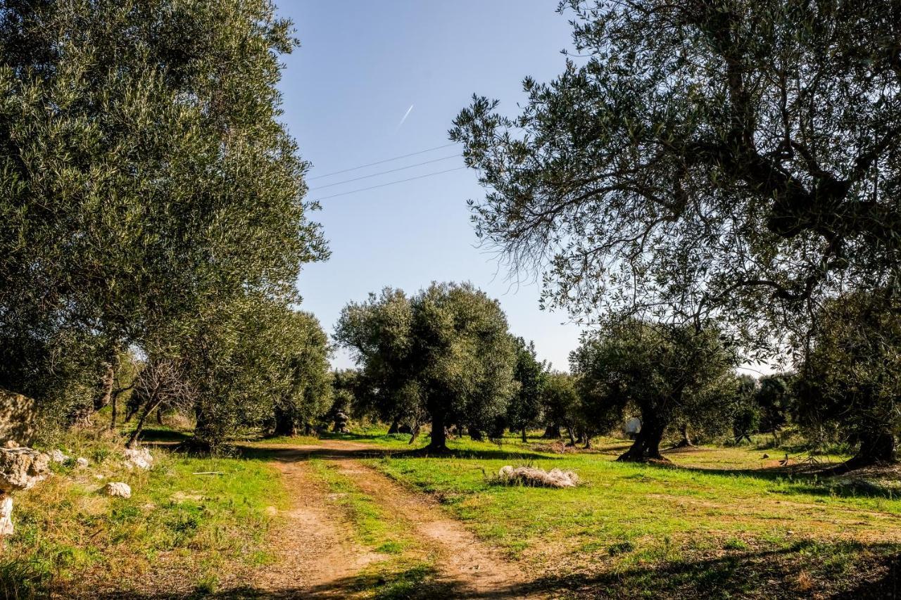 Masseria D'Erchia Monopoli Dış mekan fotoğraf